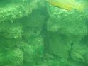Scuba Table Rock 151
